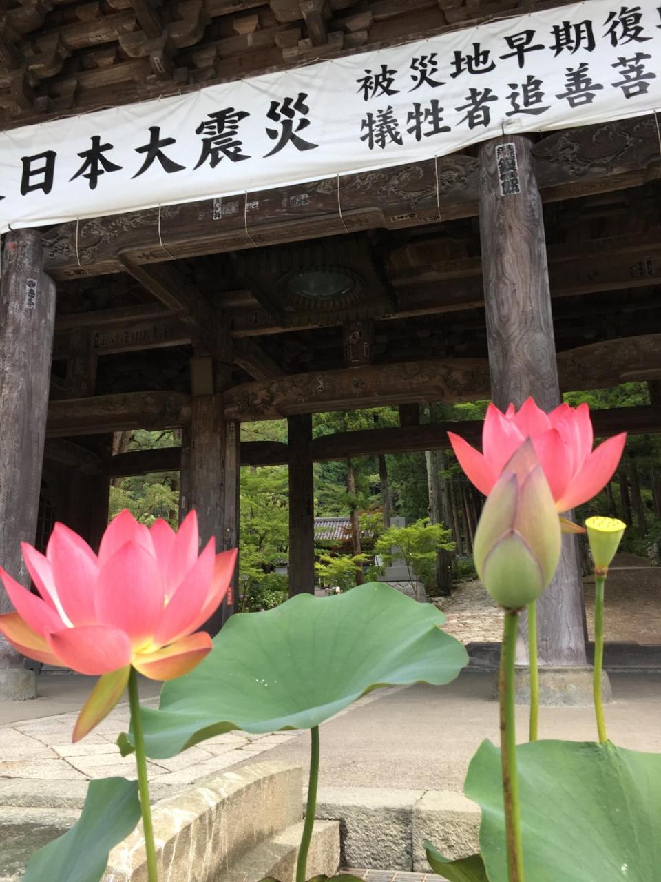 Ryokan Tanakaya Minobu Exterior photo